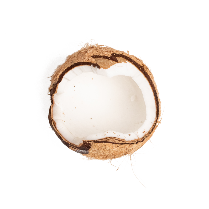 Coconut, a key ingredient in Neve's plant-based nutrition blends, providing hydration and healthy fats for athletes