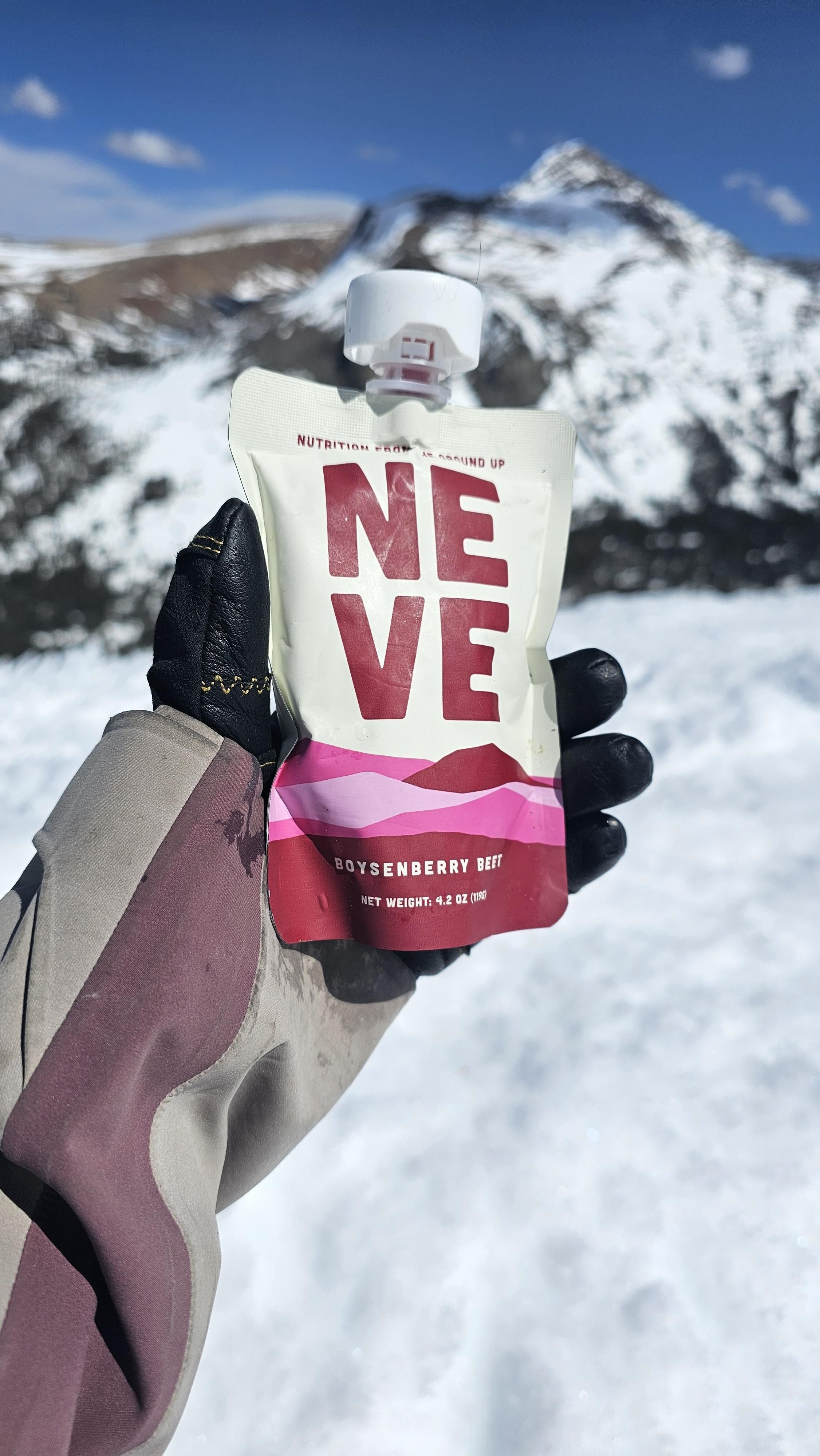 Boysenberry Beet smoothie pouch held in hand with snowy mountains in background