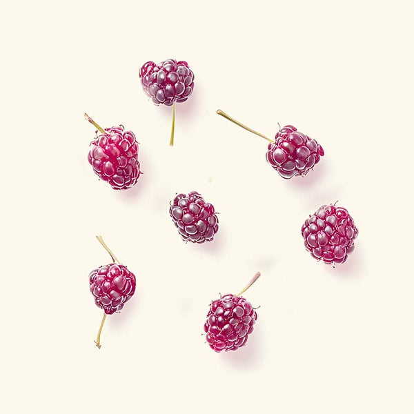 Neve Raw Ingredients Boysenberries