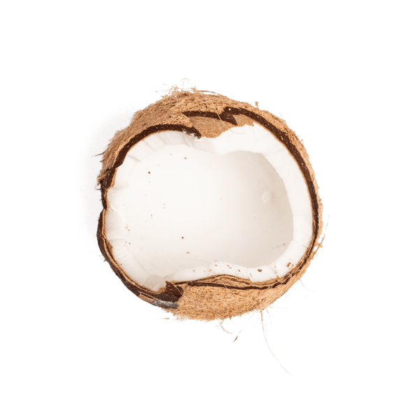 Half-cut coconut on a white background