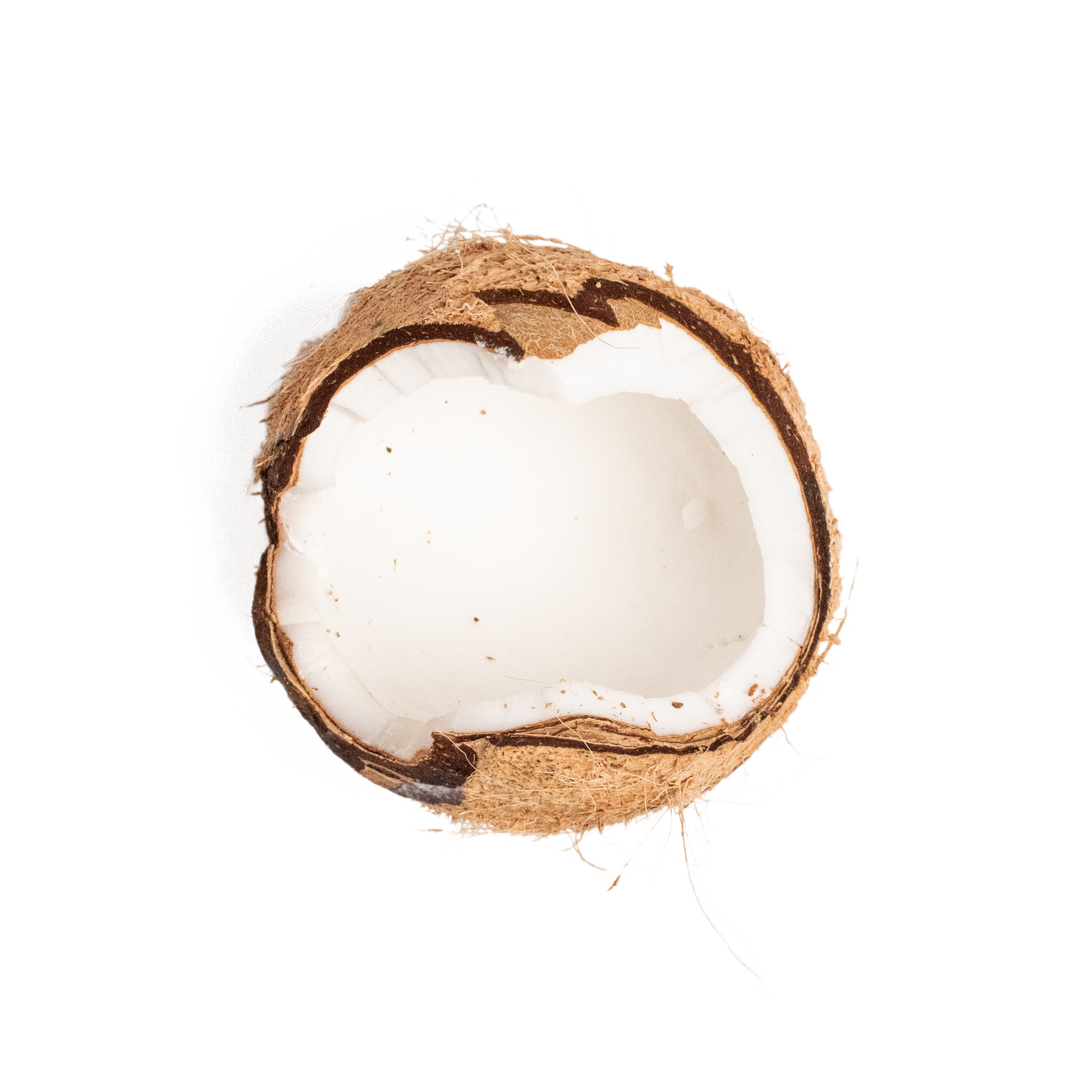 Coconut, a key ingredient in Neve's plant-based nutrition blends, providing hydration and healthy fats for athletes