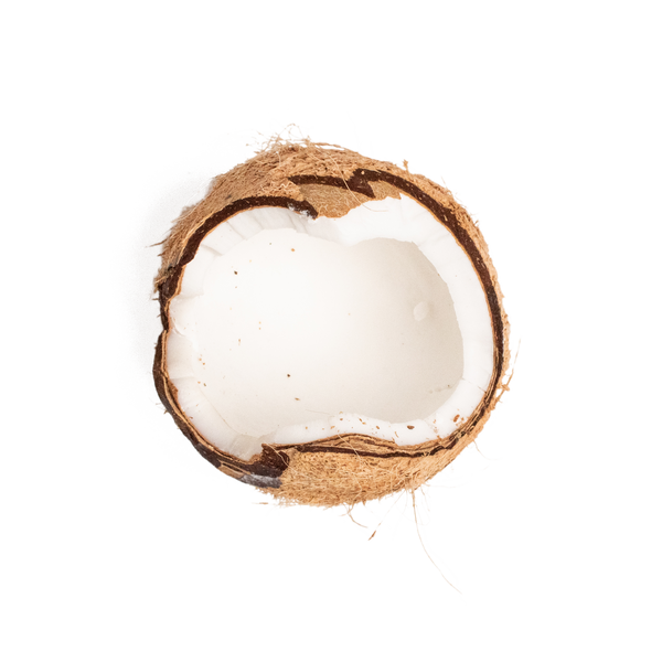 Coconut, a key ingredient in Neve's plant-based nutrition blends, providing hydration and healthy fats for athletes